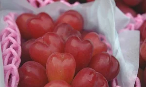 Inside the Luxurious Japanese Grapes: Why This Premium Fruit Costs Over $85 a Bunch - image 2