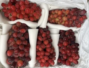 Inside the Luxurious Japanese Grapes: Why This Premium Fruit Costs Over $85 a Bunch - image 5