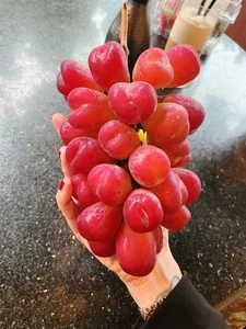 Inside the Luxurious Japanese Grapes: Why This Premium Fruit Costs Over $85 a Bunch - image 6