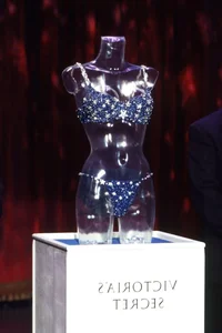 Inside Victoria's Secret's Most Expensive Lingerie Worth Millions - image 26