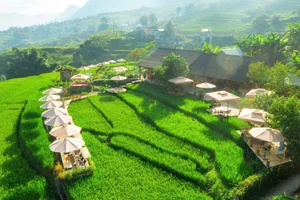 Sapa Terraced Rice Fields: The Ultimate Coffee Experience - image 8