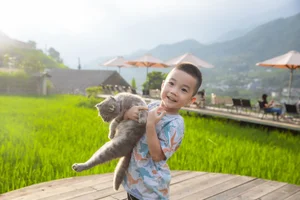 Sapa Terraced Rice Fields: The Ultimate Coffee Experience - image 4