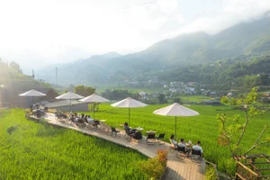 Sapa Terraced Rice Fields: The Ultimate Coffee Experience - image 6
