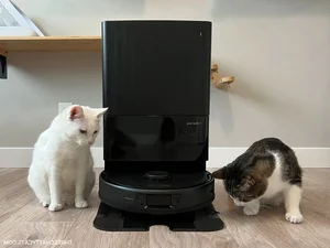 12 Surprising Facts About the World’s Most Advanced Robot Vacuums - image 11