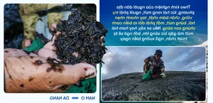 Treasures of Nam O: Exploring the Ancient Fishing Village of Da Nang - image 1
