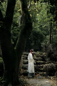 Exploring Aesthetic Elegance in YiTuYu Art Language Vol.7052 Featuring Yuan Bao - image 8