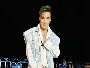 Dam Vinh Hung and Vietnamese Stars Targeted in Major Financial Scams - image 1
