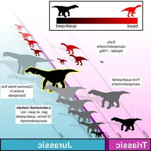 Unearthed: Exploring Jurassic Fossils and the Beasts That Once Ruled the Earth - image 4