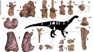 Unearthed: Exploring Jurassic Fossils and the Beasts That Once Ruled the Earth - image 5