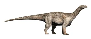 Unearthed: Exploring Jurassic Fossils and the Beasts That Once Ruled the Earth - image 7