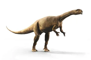 Unearthed: Exploring Jurassic Fossils and the Beasts That Once Ruled the Earth - image 3