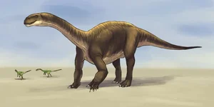 Unearthed: Exploring Jurassic Fossils and the Beasts That Once Ruled the Earth - image 1