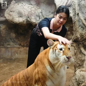 Viral Lion With Hilarious Expression Captivates Social Media Users - image 2