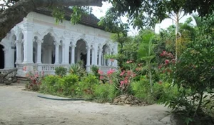 Discovering a Historic 200-Year-Old Ancient House in Vietnam's Mekong Delta - image 6
