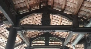 Discovering a Historic 200-Year-Old Ancient House in Vietnam's Mekong Delta - image 2