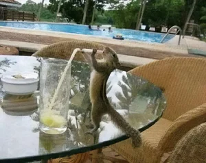Hilarious and Unbelievable Daily Life Moments to Brighten Your Day - image 1