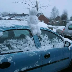 Hilarious and Unbelievable Daily Life Moments to Brighten Your Day - image 8