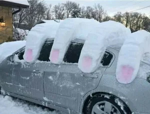 Hilarious and Unbelievable Daily Life Moments to Brighten Your Day - image 7