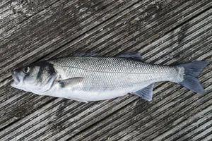 The Surprising Fish Healthier Than Salmon: Nutritional Benefits and Sustainable Choices - image 0