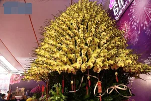The 4 Billion VND Gold-Plated Orchid: A Masterpiece of Luxury and Craftsmanship - image 5