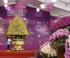 The 4 Billion VND Gold-Plated Orchid: A Masterpiece of Luxury and Craftsmanship - image 1