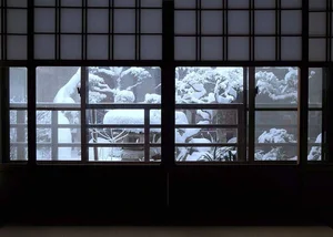 Stunning Artworks on Traditional Japanese Shoji Paper Screens - image 5