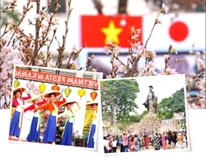 Vietnam-Japan Relations: A Future-Oriented Partnership on the Global Stage - image 4