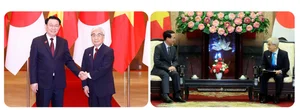 Vietnam-Japan Relations: A Future-Oriented Partnership on the Global Stage - image 7