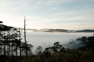 Cloud Hunting in K’Long K’Lanh: A Journey Through Flowers and Coastal Views - image 2