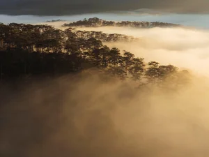 Cloud Hunting in K’Long K’Lanh: A Journey Through Flowers and Coastal Views - image 5