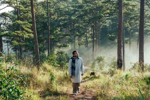Cloud Hunting in K’Long K’Lanh: A Journey Through Flowers and Coastal Views - image 9