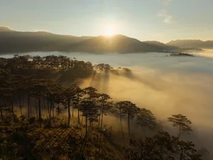 Cloud Hunting in K’Long K’Lanh: A Journey Through Flowers and Coastal Views - image 4