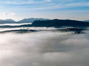 Cloud Hunting in K’Long K’Lanh: A Journey Through Flowers and Coastal Views - image 6