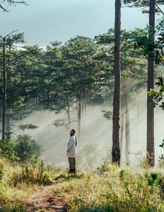 Cloud Hunting in K’Long K’Lanh: A Journey Through Flowers and Coastal Views - image 0