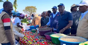 Quang Linh Vlogs Succeeds in Angola: Transforming Agriculture and Welcoming Diplomatic Visits - image 2