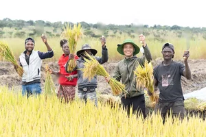 Quang Linh Vlogs Succeeds in Angola: Transforming Agriculture and Welcoming Diplomatic Visits - image 1