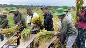 Quang Linh Vlogs Succeeds in Angola: Transforming Agriculture and Welcoming Diplomatic Visits - image 4