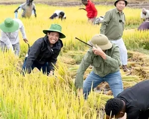 Quang Linh Vlogs Succeeds in Angola: Transforming Agriculture and Welcoming Diplomatic Visits - image 3