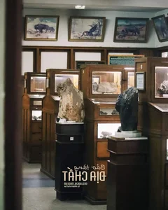 Tour-de-Museum: Discovering Saigon’s Rich History and Art Heritage - image 26