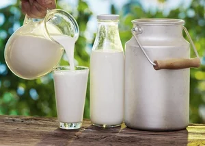 5 Items You Should Never Buy at the Supermarket Even When They're On Sale - image 6