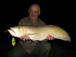 The Mystery Dragon-Scaled Fish: A Rare Catch That Shocked the Angling World - image 11