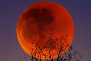 Rare Blood Moon to Grace Vietnam's Skies During the Lantern Festival - image 6