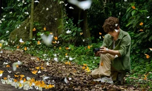 A Magical Journey to Cuc Phuong National Park: Witnessing the Spectacular Butterfly Season - image 2