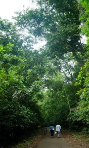 A Magical Journey to Cuc Phuong National Park: Witnessing the Spectacular Butterfly Season - image 0