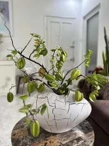 Inside Singer My Le's Spectacular 10,000-Square-Meter Year-Round Organic Garden - image 3