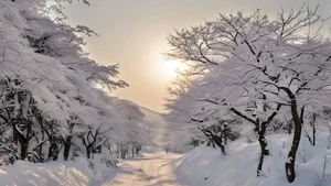 Discover South Korea: 99+ Stunning Full HD Travel and Culture Images - image 56