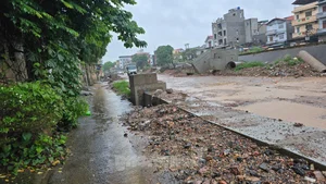 Residents Concerned Over New Road Design Elevated by Nearly One Meter - image 12