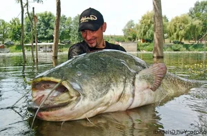 Angler’s Incredible Catch: Over 100kg Water Monster Leads to a Surprising Decision - image 7