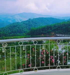 Inside Actor Manh Truong’s Resort-Style Villa with Stunning Mountain Views - image 8