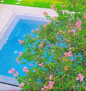 Inside Actor Manh Truong’s Resort-Style Villa with Stunning Mountain Views - image 3